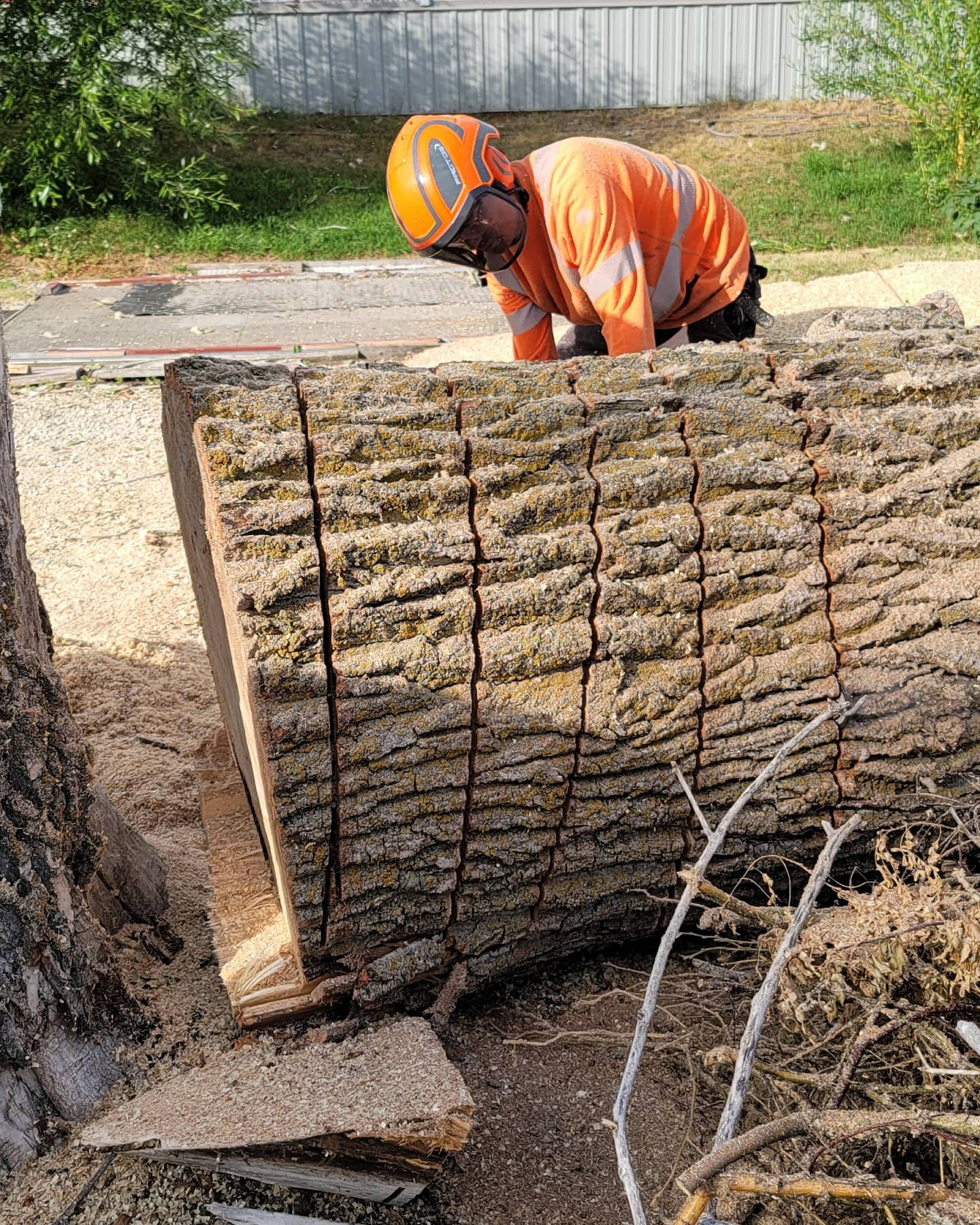 GBPro Arborist Services work sample