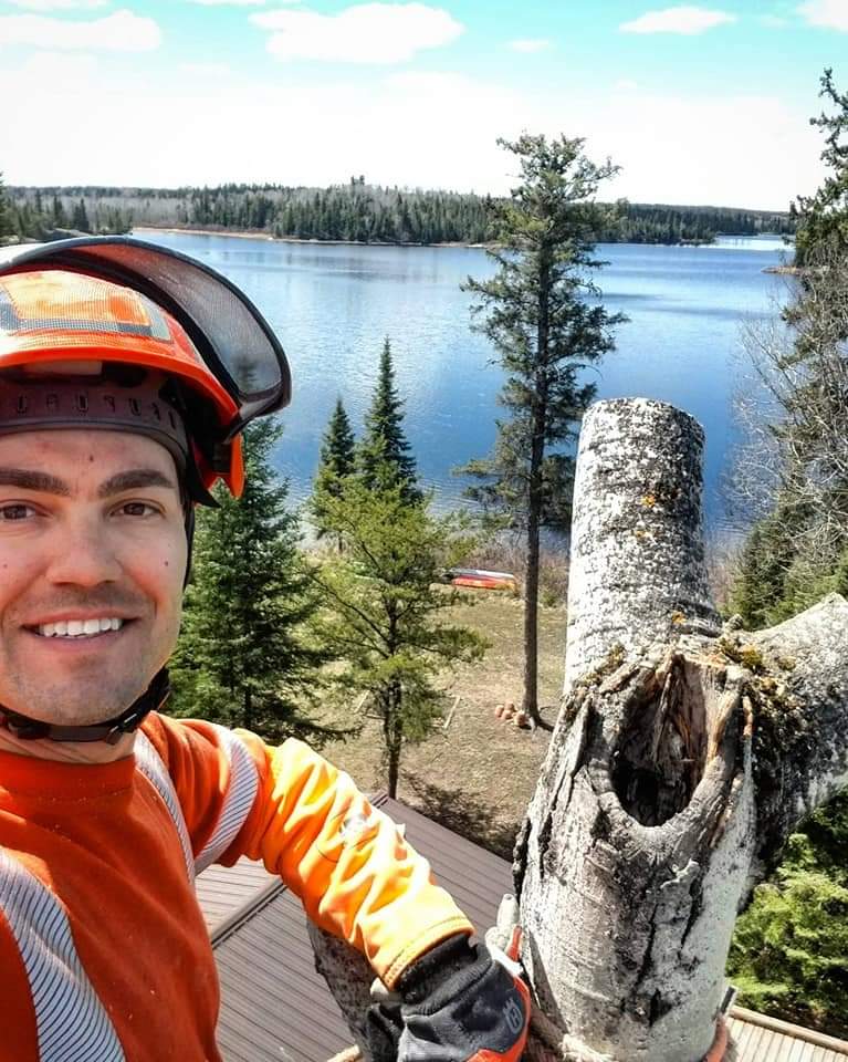 GBPro Arborist Services work sample