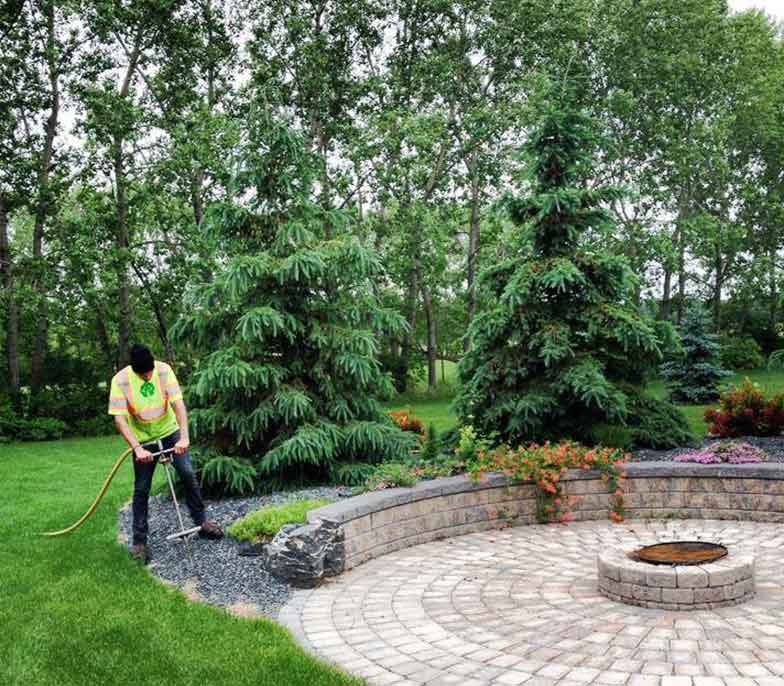 Alliance Tree Care work sample