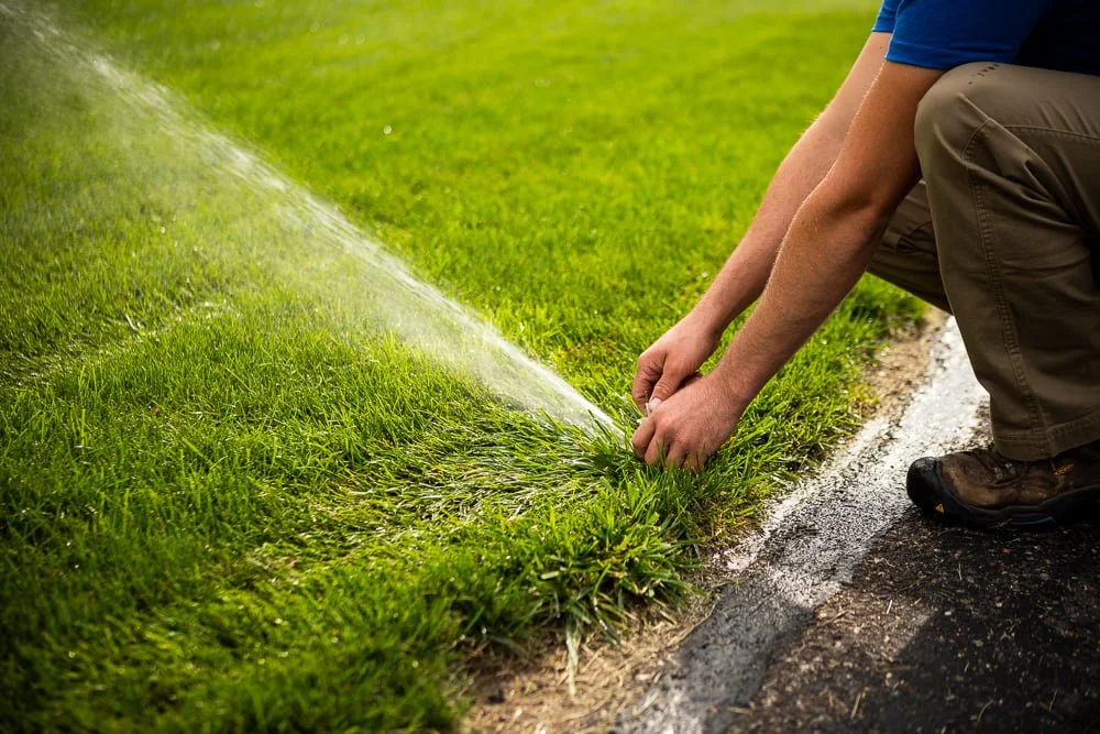 Citywide Sprinklers work sample