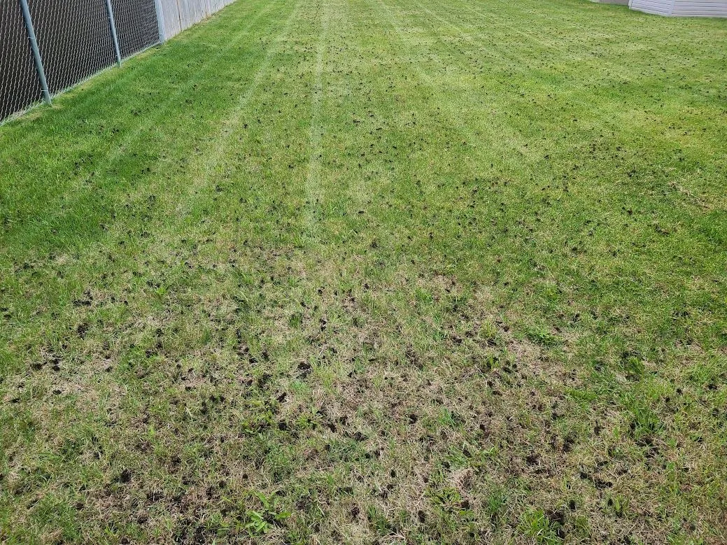 completed aeration service