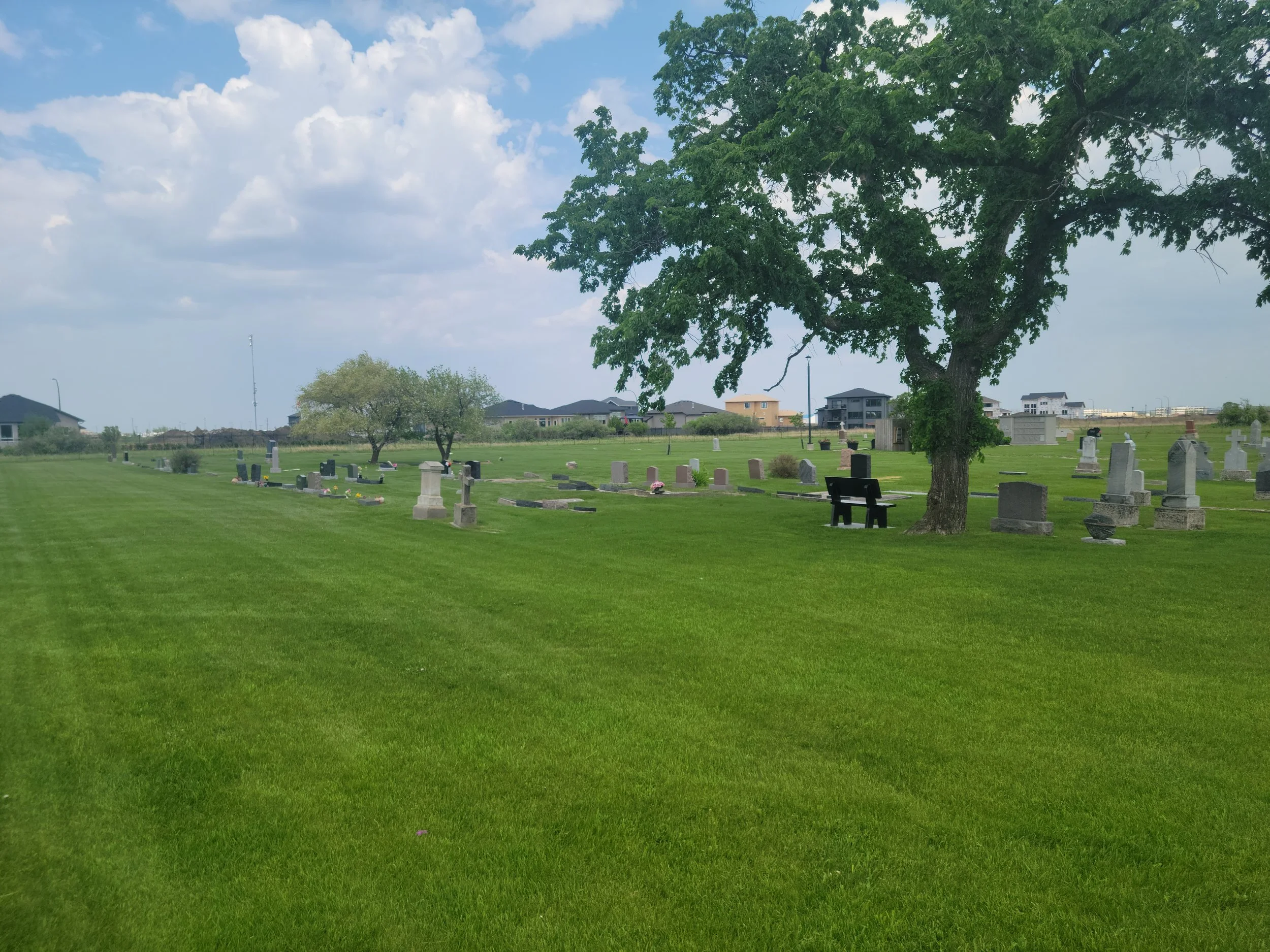 A peaceful cemetery with green grass, several headstones, a large tree providing shade, a bench near the tree, and house