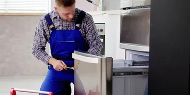 VL Appliance Repair work sample