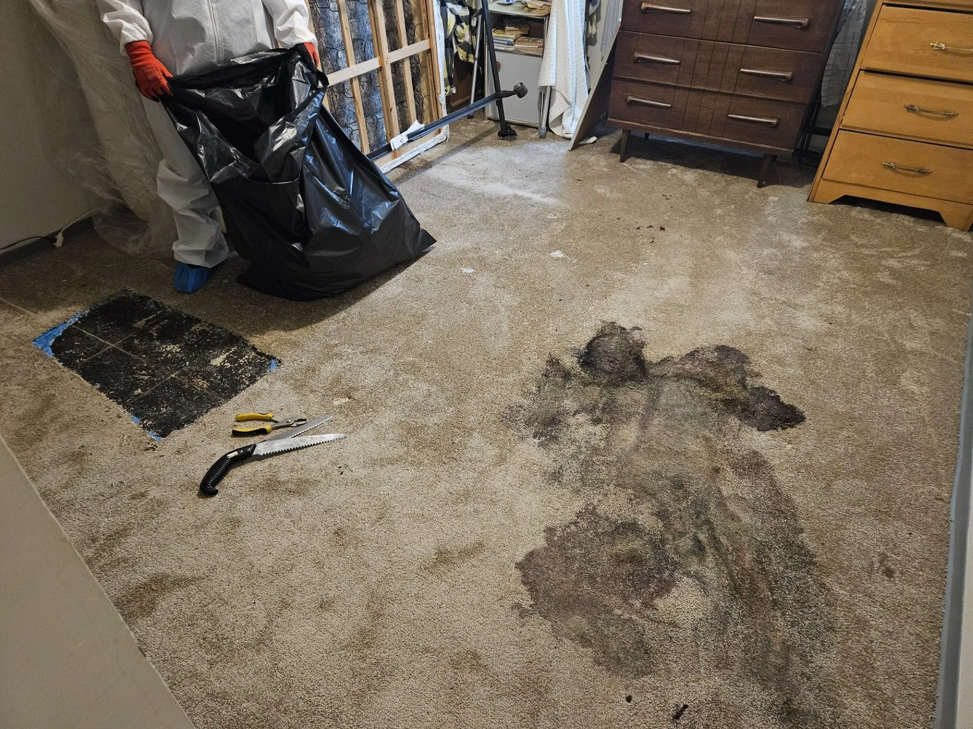 Harriet's Hoarding Help work sample