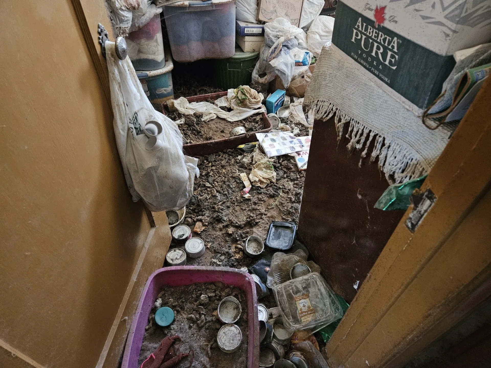Harriet's Hoarding Help work sample