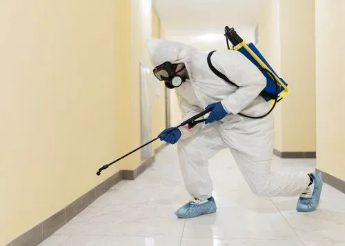 Valkyrie Pest Solutions work sample