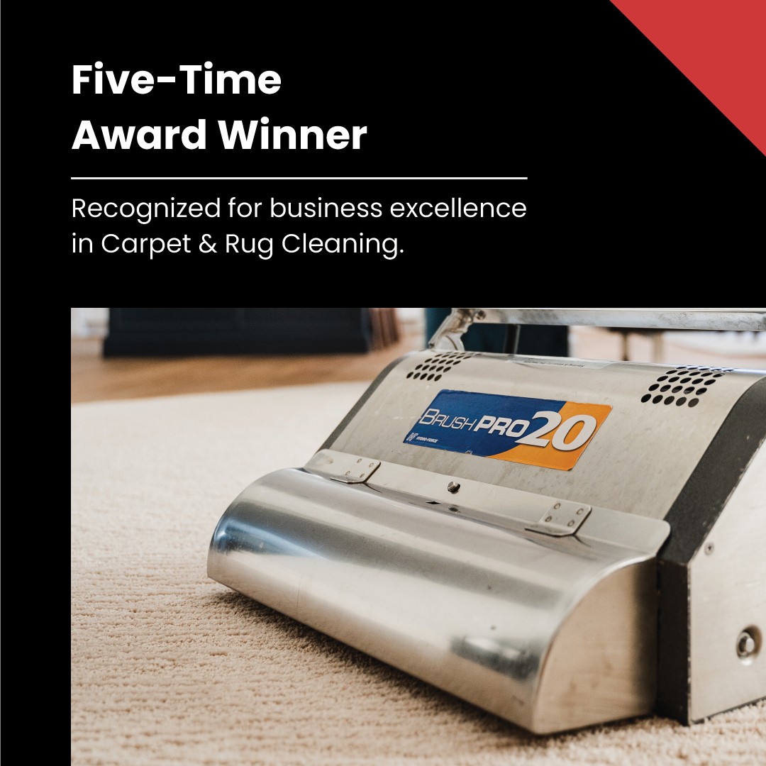 Little Luxuries House & Carpet Cleaning work sample