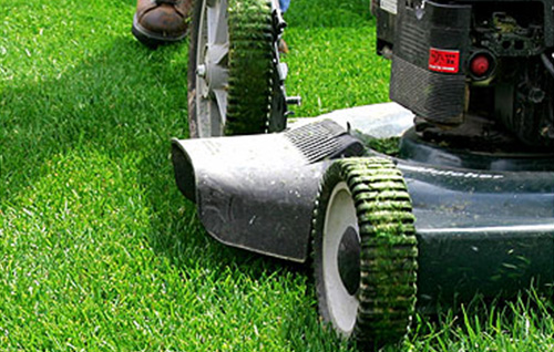 Eco Green Ltd. work sample