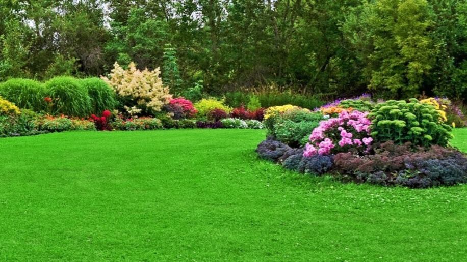 Patio Apes Landscaping Co. work sample