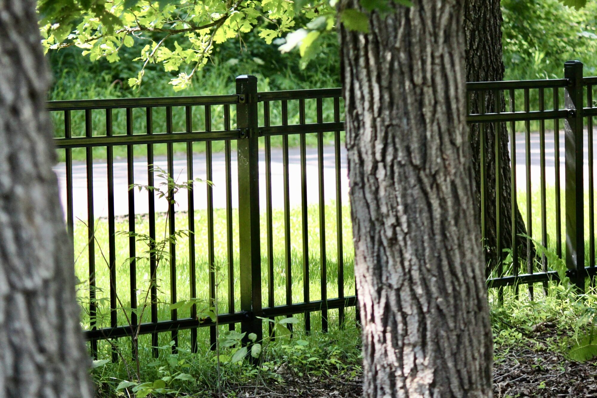 Wallace + Wallace Fences work sample