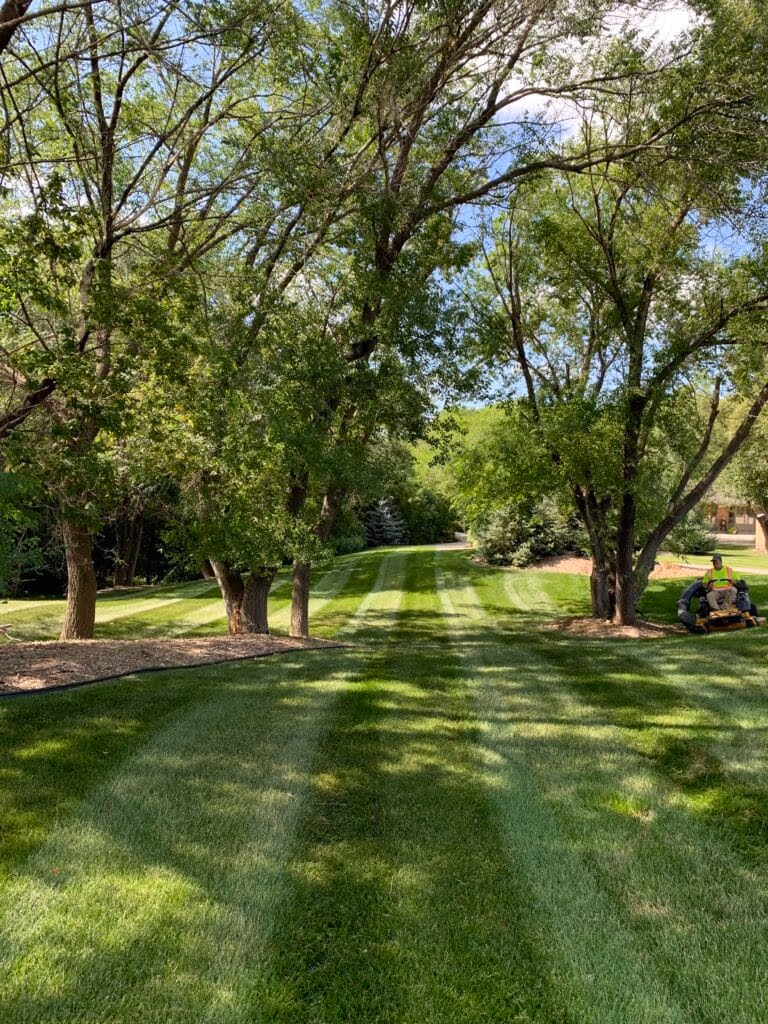 All Around Property Maintenance work sample