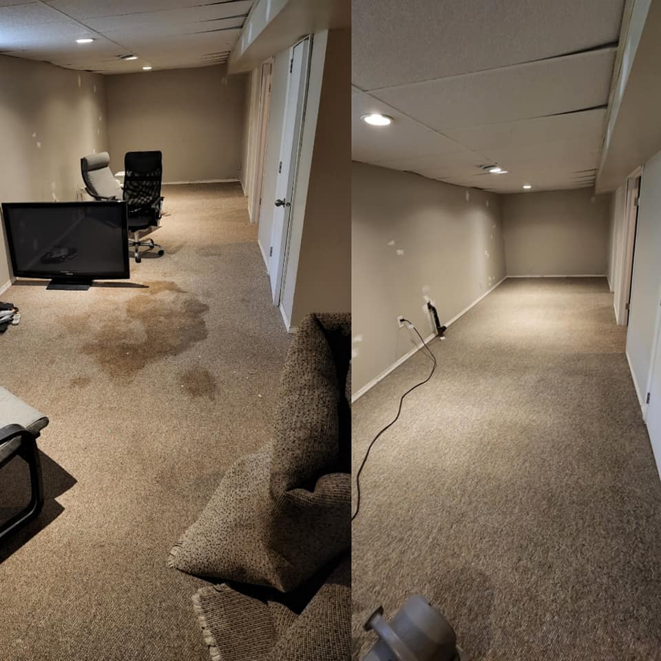 Pro Carpet Cleaning Winnipeg work sample