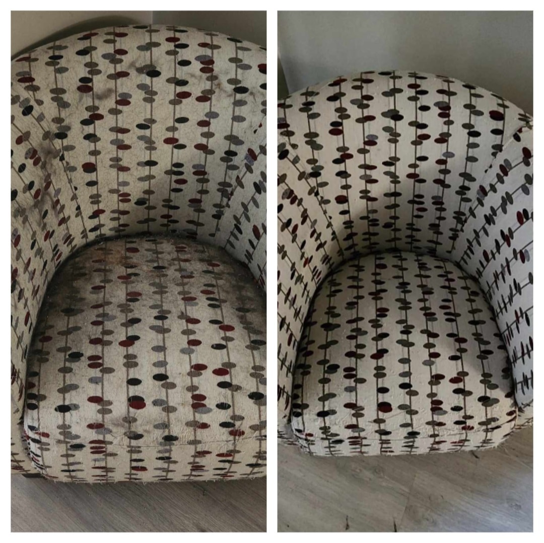 Pro Carpet Cleaning Winnipeg work sample