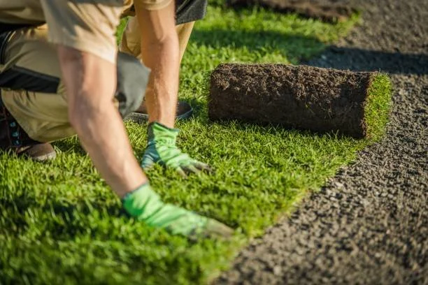 Hamonic's Lawn Care work sample