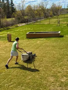 No-BS Yardwork work sample