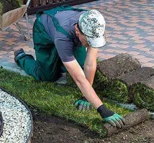 No-BS Yardwork work sample