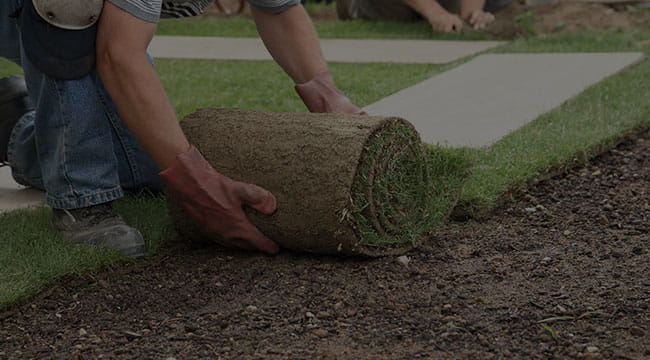 Winnipeg Lawn Care