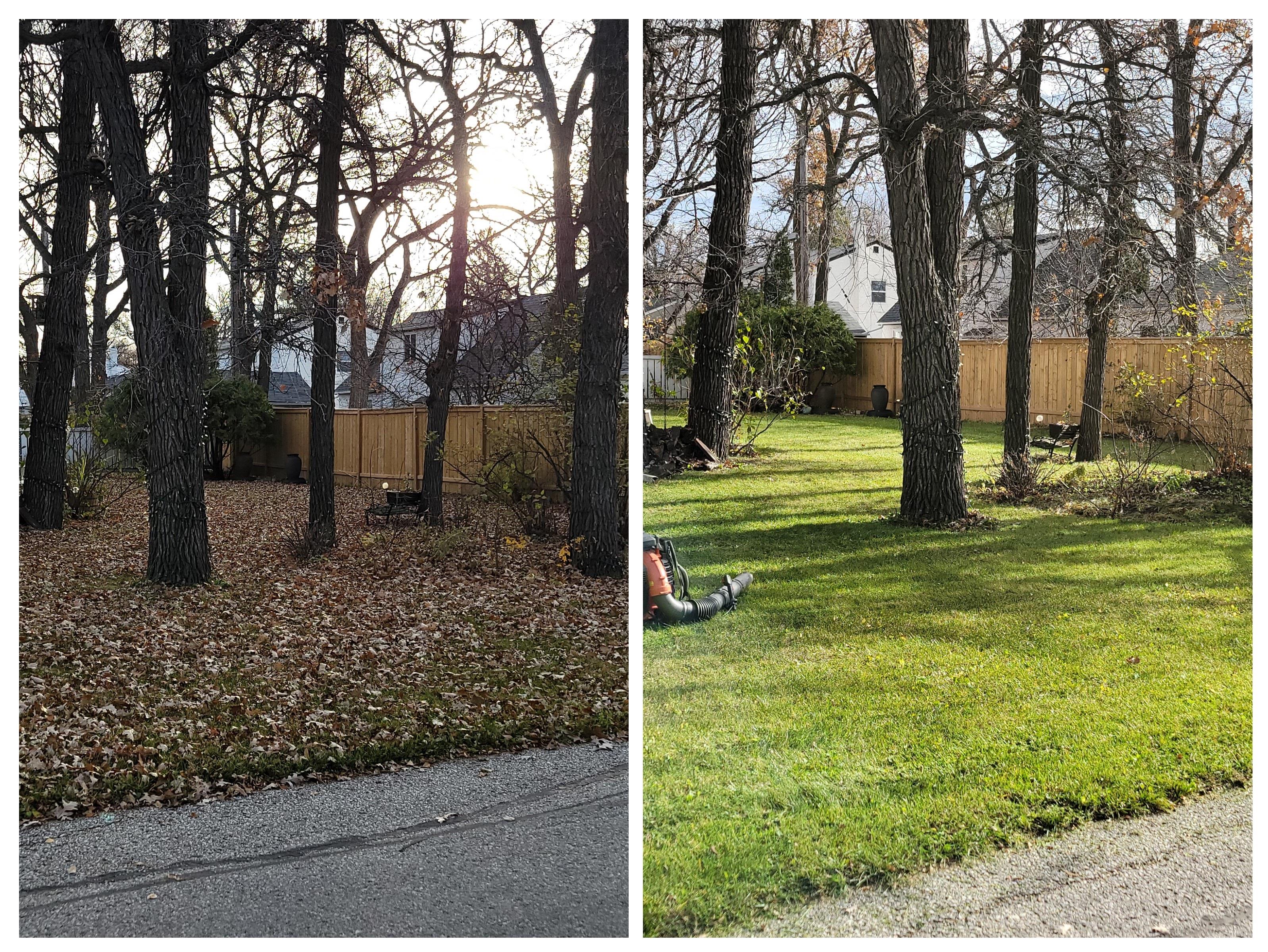 Shadow Creek Landscaping work sample
