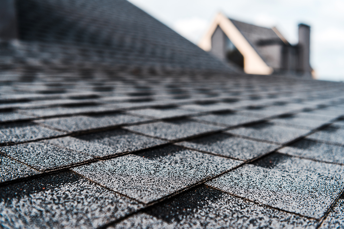 Capela's Roofing work sample