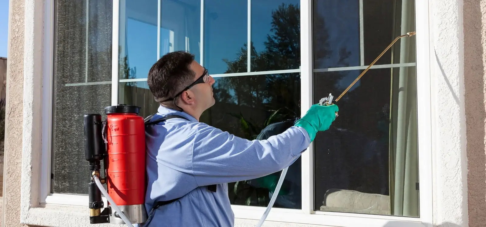 Residential Pest Control