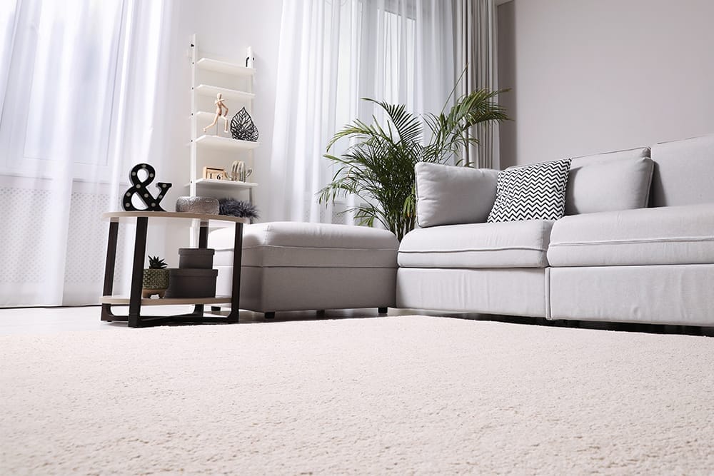 Floor Country Canada work sample