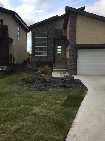Sod and Plant Features