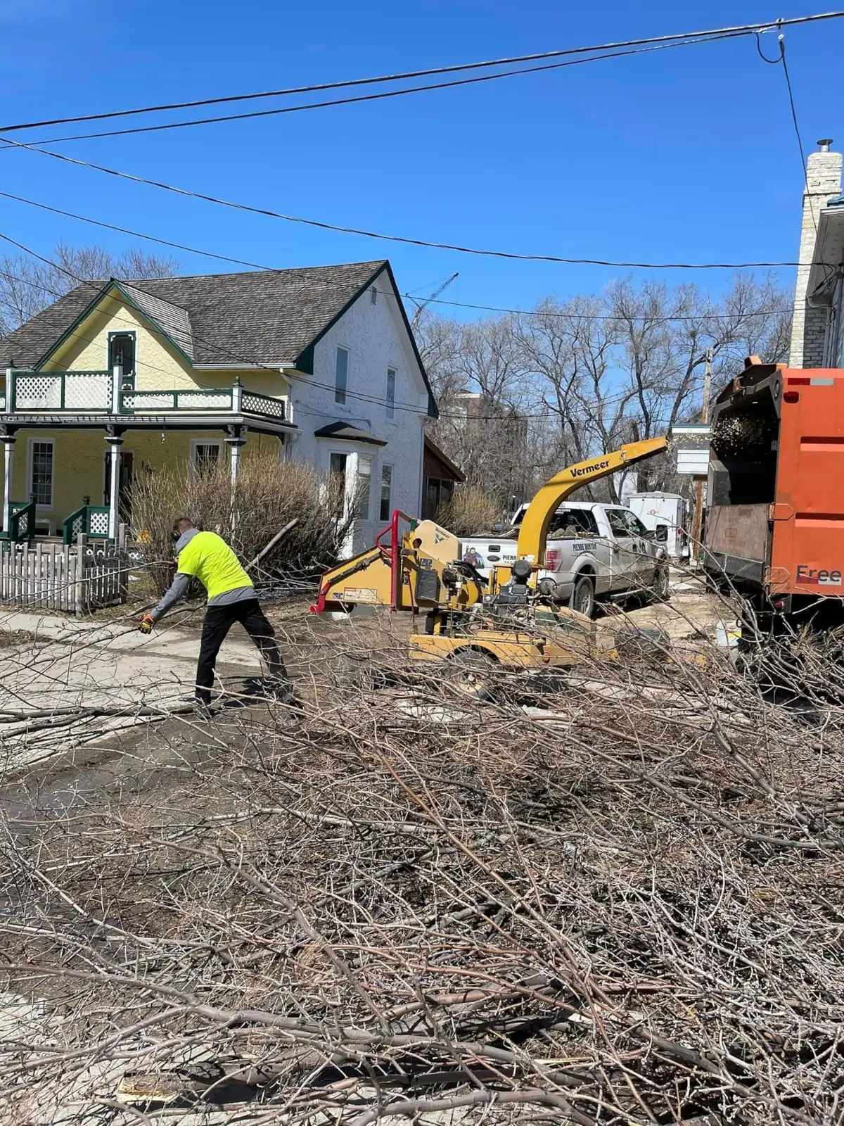 Pierre Bunyan Tree Service work sample