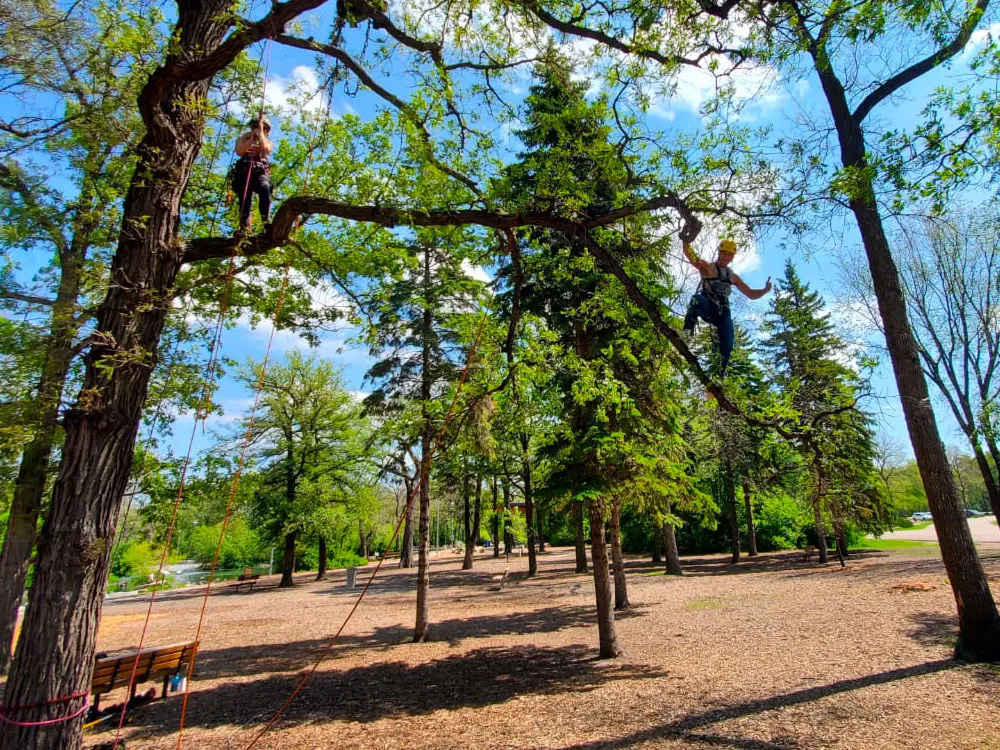 Tree Ninjas work sample