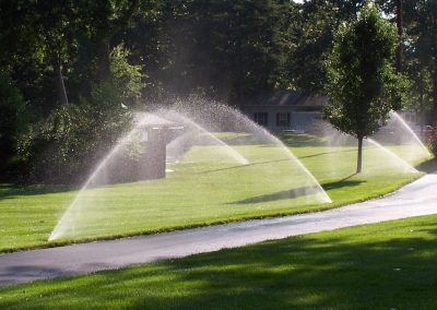 Image Sod & Sprinkler work sample