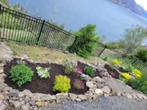 VitaNova Landscape work sample