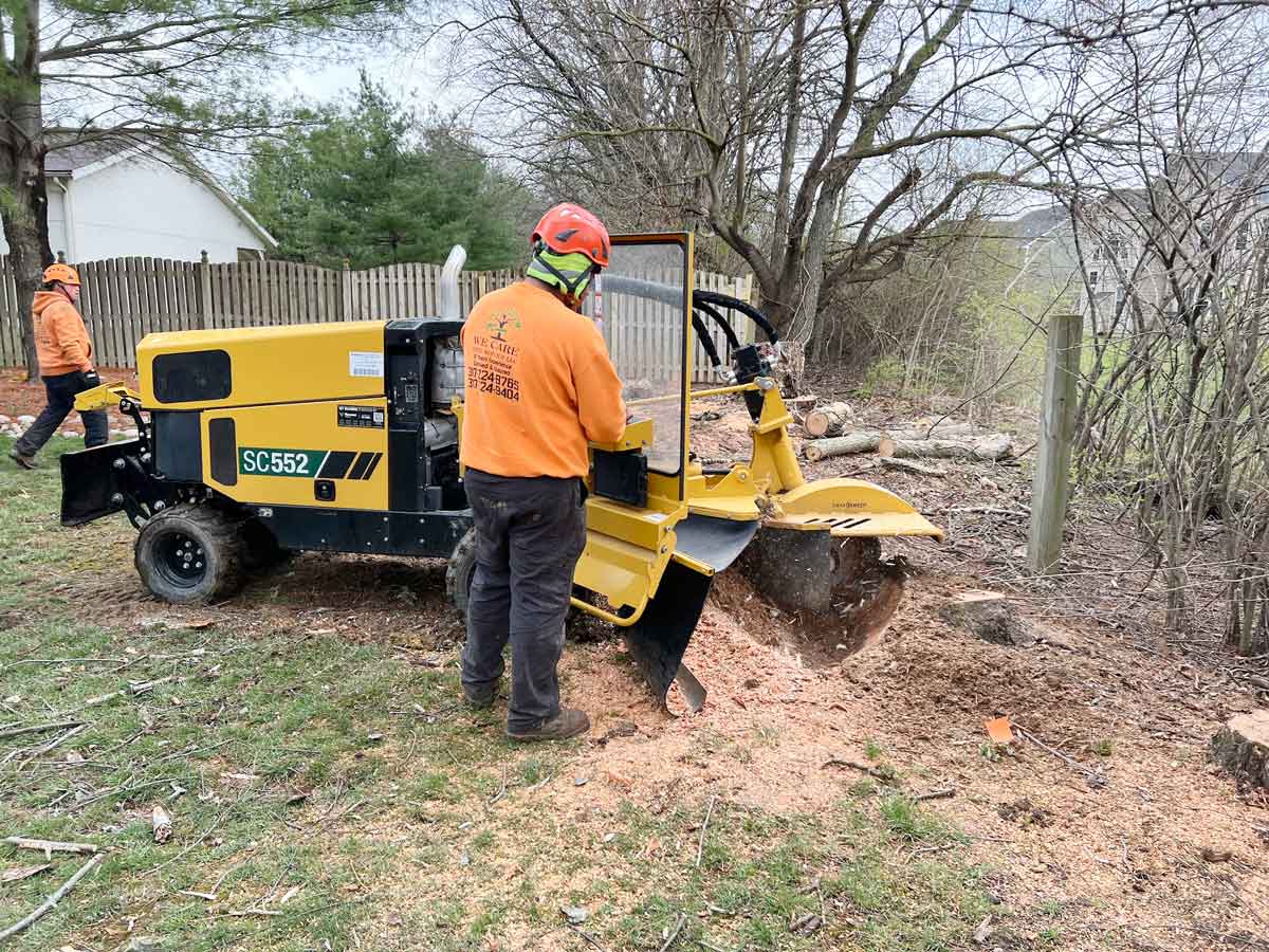 We Care Tree Service work sample