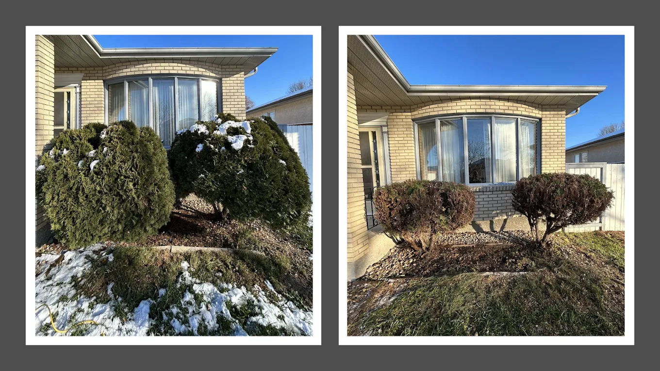 Maples YardWorks work sample