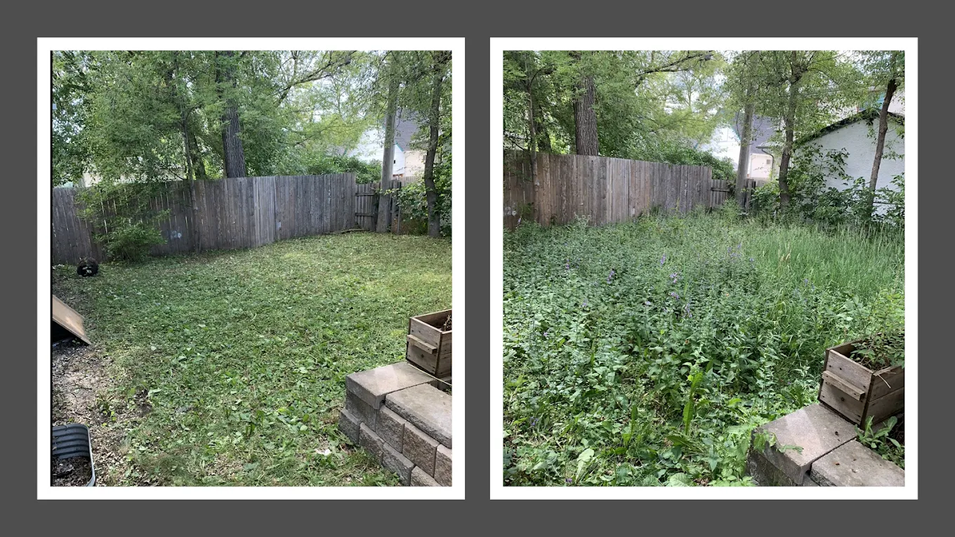 Maples YardWorks work sample