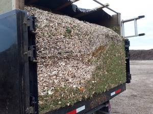 GoodFellers Tree & Stump Inc. work sample
