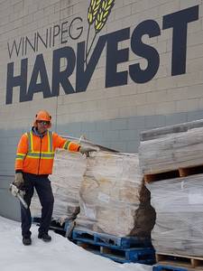 GoodFellers Tree & Stump Inc. work sample