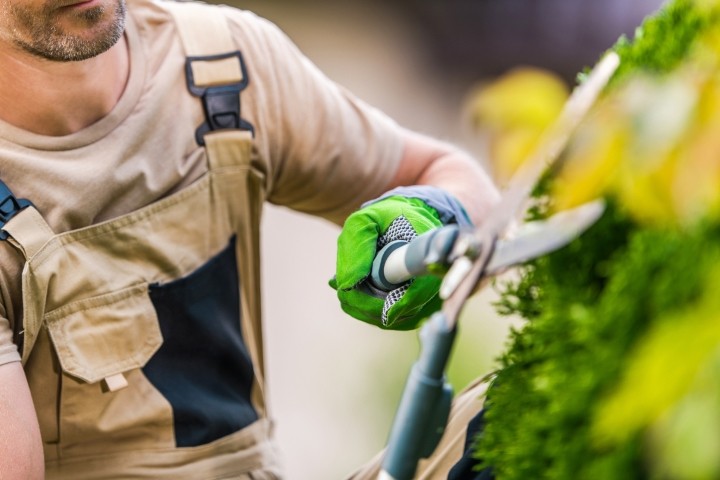 Sunshine Maintenance & Landscaping work sample