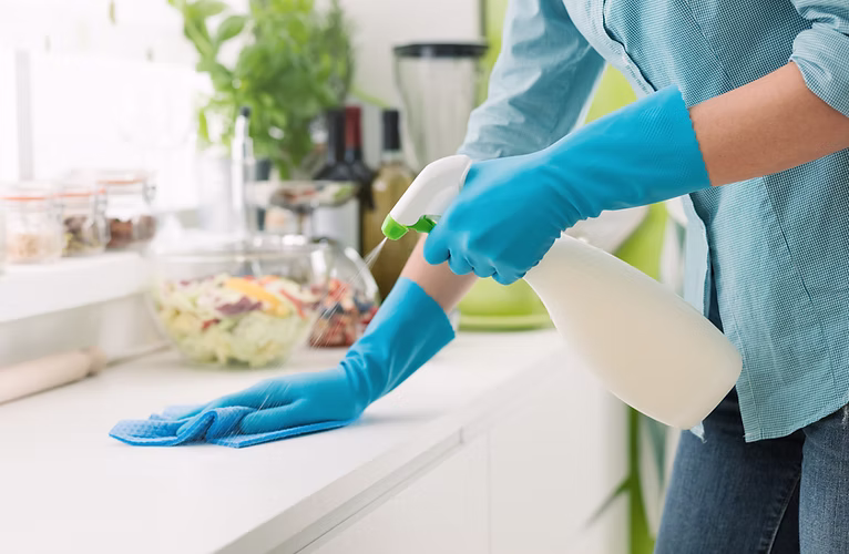 Elyse Sidon Cleaning Services work sample