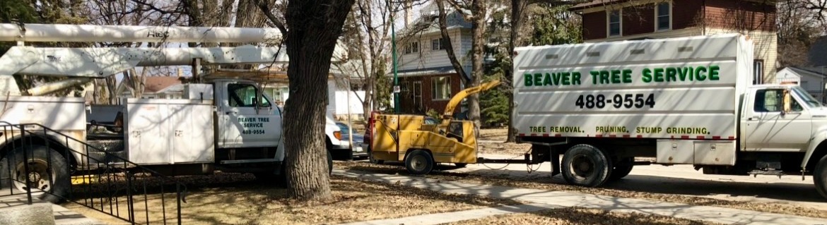 Beaver Tree truck
