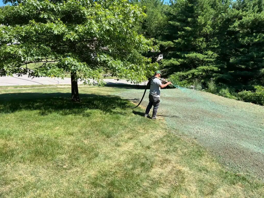Showcase Lawn & Landscape work sample