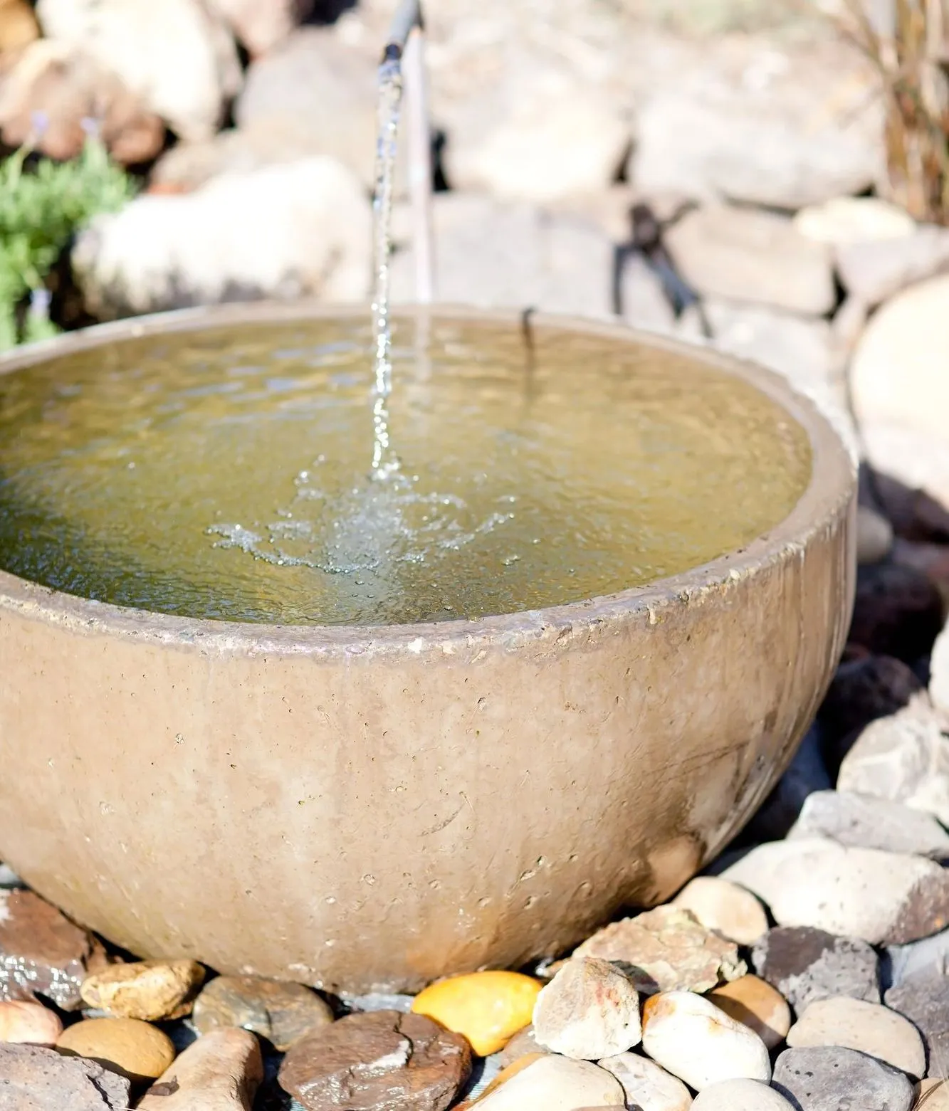 Champagne Landscaping work sample